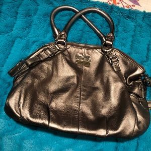 Metallic Coach Purse